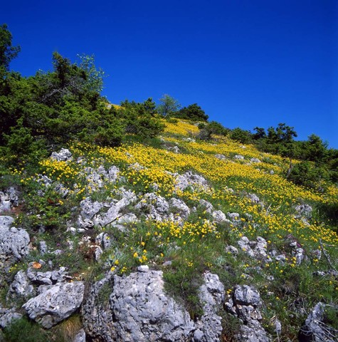 mavrovo09.jpg